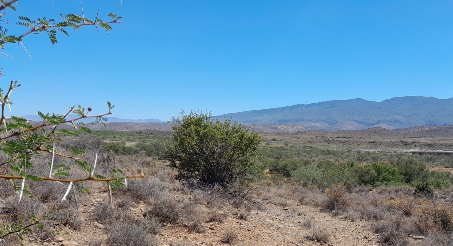 Commercial Property for Sale in Ladismith Rural Western Cape